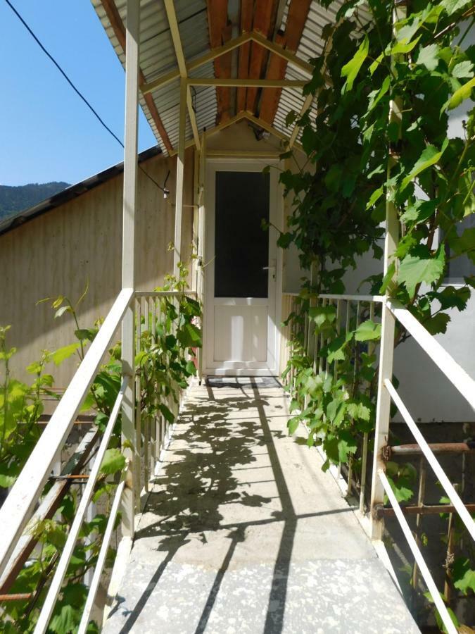 Akaki'S Guesthouse Bordżomi Zewnętrze zdjęcie